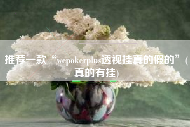 推荐一款“wepokerplus透视挂真的假的”(真的有挂) 推荐一款“wepokerplus透视挂真的假的”(真的有挂)