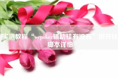 实测教程“wepoker辅助挂有没有”附开挂脚本详细