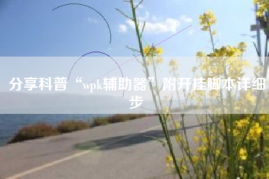分享科普“wpk辅助器”附开挂脚本详细步