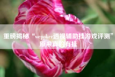 重磅揭秘“wepoker透视辅助挂游戏评测”原来真的有挂