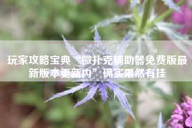 玩家攻略宝典“微扑克辅助器免费版最新版本更新内”确实果然有挂