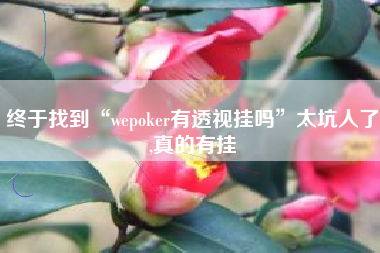 终于找到“wepoker有透视挂吗”太坑人了,真的有挂 终于找到“wepoker有透视挂吗”太坑人了,真的有挂