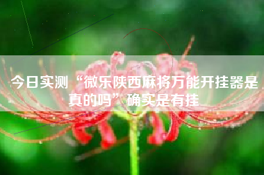 今日实测“微乐陕西麻将万能开挂器是真的吗”确实是有挂