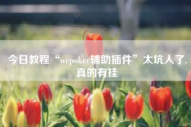 今日教程“wepoker辅助插件”太坑人了,真的有挂
