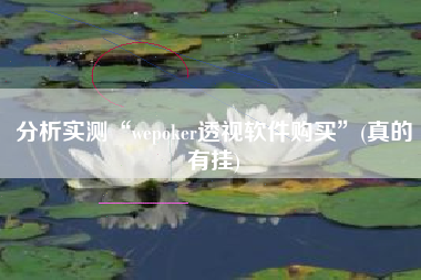 分析实测“wepoker透视软件购买”(真的有挂) 分析实测“wepoker透视软件购买”(真的有挂)