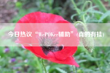 今日热议“WePOKer辅助”(真的有挂) 今日热议“WePOKer辅助”(真的有挂)