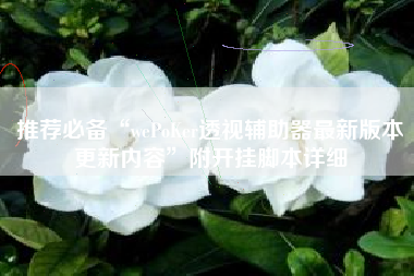推荐必备“wePoKer透视辅助器最新版本更新内容”附开挂脚本详细