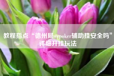 教程指点“德州局wepoker辅助挂安全吗”详细开挂玩法