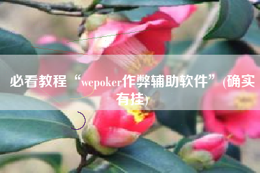 必看教程“wepoker作弊辅助软件”(确实有挂) 必看教程“wepoker作弊辅助软件”(确实有挂)