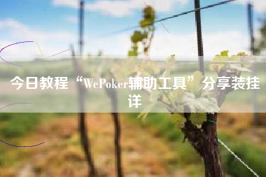 今日教程“WePoker辅助工具”分享装挂详