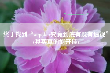 终于找到“wepoker究竟到底有没有透视”(其实真的能开挂)