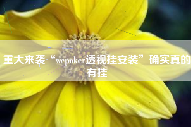 重大来袭“wepoker透视挂安装”确实真的有挂