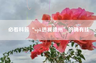 必看科普“wpk透视德州”的确有挂