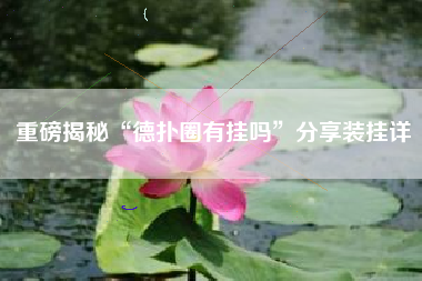 重磅揭秘“德扑圈有挂吗”分享装挂详