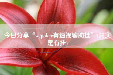 今日分享“wepoker有透视辅助挂”(其实是有挂)