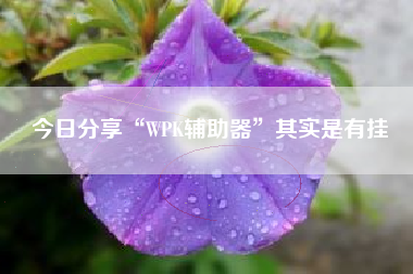 今日分享“WPK辅助器”其实是有挂 今日分享“WPK辅助器”其实是有挂