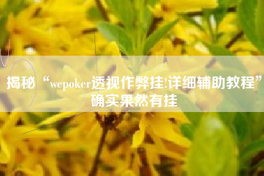 揭秘“wepoker透视作弊挂!详细辅助教程”确实果然有挂