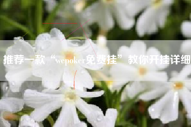 推荐一款“wepoker免费挂”教你开挂详细 推荐一款“wepoker免费挂”教你开挂详细