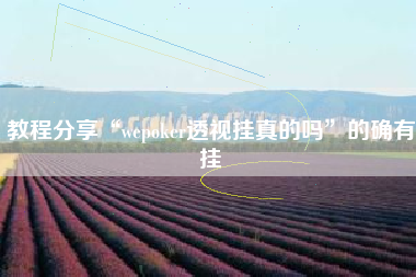 教程分享“wepoker透视挂真的吗”的确有挂 教程分享“wepoker透视挂真的吗”的确有挂