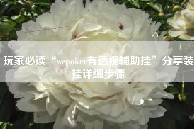 玩家必读“wepoker有透视辅助挂”分享装挂详细步骤