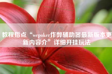 教程指点“wepoker作弊辅助器最新版本更新内容介”详细开挂玩法