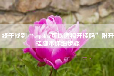 终于找到“wepoker可以透视开挂吗”附开挂脚本详细步骤