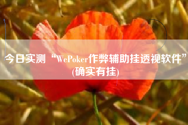 今日实测“WePoker作弊辅助挂透视软件”(确实有挂)
