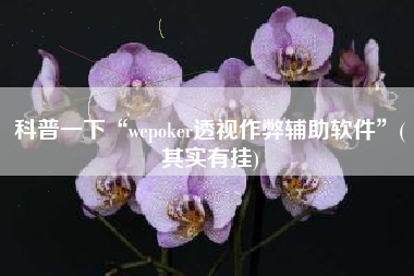 科普一下“wepoker透视作弊辅助软件”(其实有挂) 科普一下“wepoker透视作弊辅助软件”(其实有挂)
