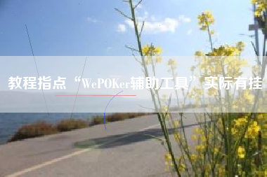 教程指点“WePOKer辅助工具”实际有挂
