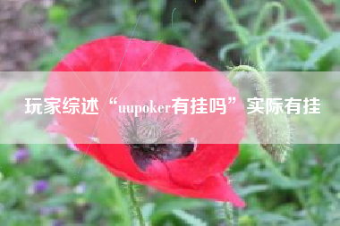 玩家综述“uupoker有挂吗”实际有挂