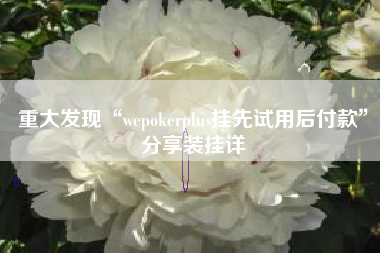 重大发现“wepokerplus挂先试用后付款”分享装挂详