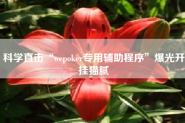 科学直击“wepoker专用辅助程序”爆光开挂猫腻
