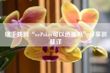 终于找到“wePoker可以透视吗”分享装挂详