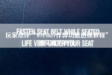 玩家点评“WePoKer作弊功能透视教程”确实真的有挂