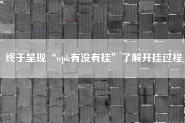 终于呈现“wpk有没有挂”了解开挂过程 终于呈现“wpk有没有挂”了解开挂过程