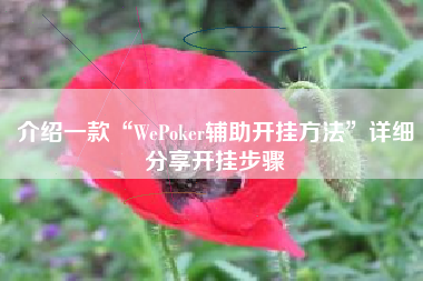 介绍一款“WePoker辅助开挂方法”详细分享开挂步骤 介绍一款“WePoker辅助开挂方法”详细分享开挂步骤