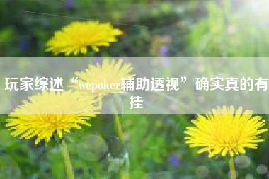 玩家综述“wepoker辅助透视”确实真的有挂