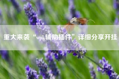重大来袭“wpk辅助插件”详细分享开挂 重大来袭“wpk辅助插件”详细分享开挂