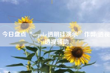 今日盘点“wepoke透明挂演示”作弊(透视)透视辅助 今日盘点“wepoke透明挂演示”作弊(透视)透视辅助