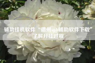 辅助挂机软件“德州wpk辅助软件下载”了解开挂过程 辅助挂机软件“德州wpk辅助软件下载”了解开挂过程