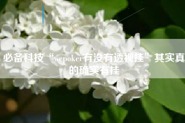 必备科技“wepoker有没有透视挂”其实真的确实有挂 必备科技“wepoker有没有透视挂”其实真的确实有挂