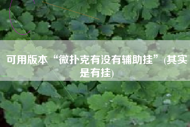可用版本“微扑克有没有辅助挂”(其实是有挂) 可用版本“微扑克有没有辅助挂”(其实是有挂)