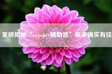 重磅揭秘“wepoker辅助器”原来确实有挂