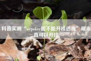 科普实测“wepoker能不能开挂透视”原来真可以开挂