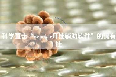 科学直击“wepoker开挂辅助软件”的确有挂 科学直击“wepoker开挂辅助软件”的确有挂