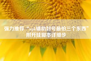 强力推荐“wpk辅助封号最怕三个东西”附开挂脚本详细步 强力推荐“wpk辅助封号最怕三个东西”附开挂脚本详细步