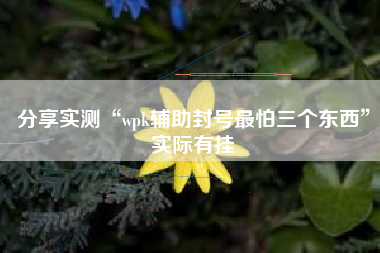 分享实测“wpk辅助封号最怕三个东西”实际有挂