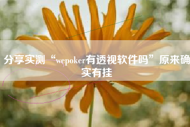 分享实测“wepoker有透视软件吗”原来确实有挂 分享实测“wepoker有透视软件吗”原来确实有挂