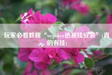 玩家必看教程“wepoker透视挂安装”(真的有挂)