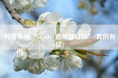 科普实测“wepoker透视挂安装”(真的有挂) 科普实测“wepoker透视挂安装”(真的有挂)